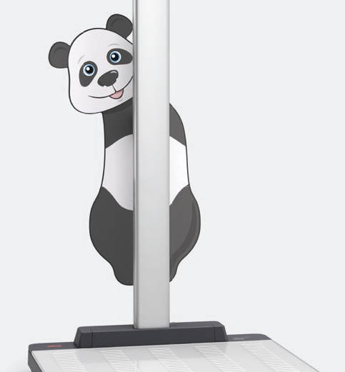 Seca SUL motyw pandy