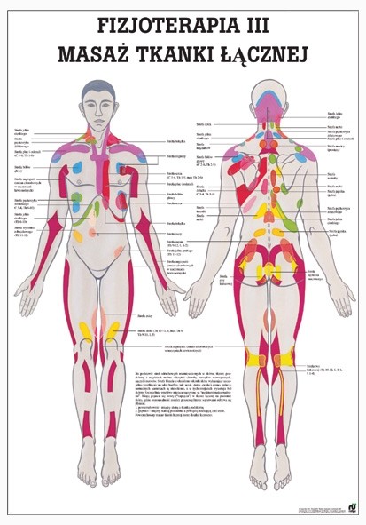 Plansza anatomiczna - Masaż tkanki łącznej