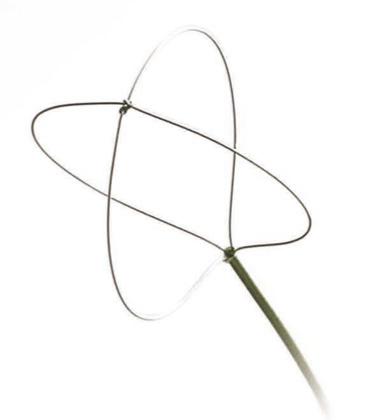 Koszyk nitinolowy Dormia Zero Tip