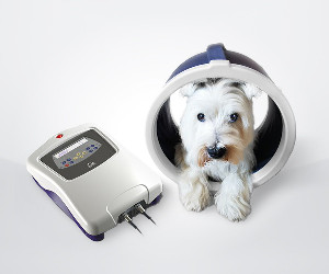 Sprzęt weterynaryjny